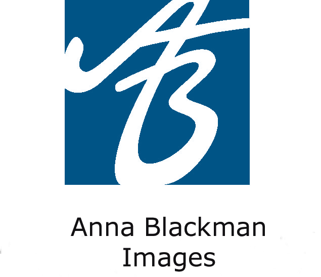 Anna Blackman